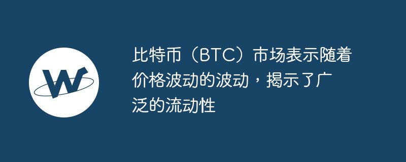 比特币(btc)市场表示随着价格波动的波动,揭示了广泛的流动性